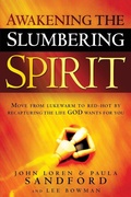 Cover: Awakening the Slumbering Spirit - Realms Fiction