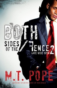 Enlarge image Cover: Both Sides of the Fence 2: - Urban Renaissance