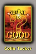 Cover: What Is Good? - America Star Books