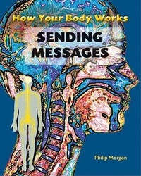 Enlarge image Cover: Sending Messages - Amicus High Interest