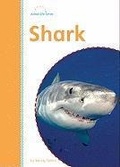 Cover: Shark - Amicus