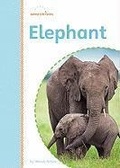 Cover: Elephant - Amicus Readers