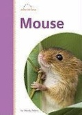 Cover: Mouse - Amicus Readers