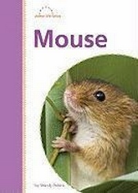 Enlarge image Cover: Mouse - Amicus Readers
