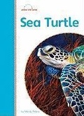 Cover: Sea Turtle - Amicus