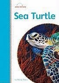 Enlarge image Cover: Sea Turtle - Amicus