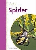 Cover: Spider - Amicus Readers