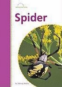 Enlarge image Cover: Spider - Amicus Readers