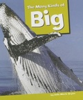Cover: The Many Kinds of Big - Amicus Readers