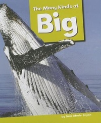 Enlarge image Cover: The Many Kinds of Big - Amicus Readers