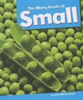 Cover: The Many Kinds of Small - Amicus Readers