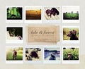 Cover: Luke & Forrest - Willow Creek Press