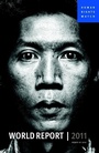 Cover: World Report 2011 - Seven Stories Press