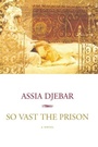 Cover: So Vast the Prison - Seven Stories Press
