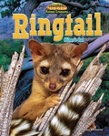 Cover: Ringtail - Bearport Books
