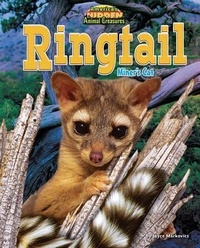 Enlarge image Cover: Ringtail - Bearport Books