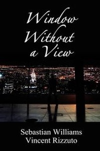 Enlarge image Cover: Window Without a View - Llumina Press