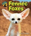 Cover: Fennec Foxes - Bearport Books