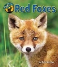 Cover: Red Foxes - Bearport Books