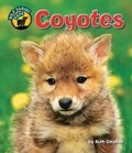 Cover: Coyotes - Bearport Books