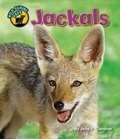 Cover: Jackals - Bearport Books