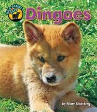 Enlarge image Cover: Dingoes - Bearport Books