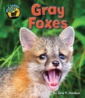 Cover: Gray Foxes - Bearport Books