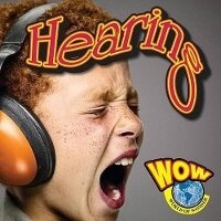 Enlarge image Cover: Hearing - Av2 by Weigl