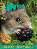 Cover: Mice - Av2 by Weigl