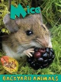 Enlarge image Cover: Mice - Av2 by Weigl