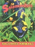 Cover: Salamanders - Av2 by Weigl