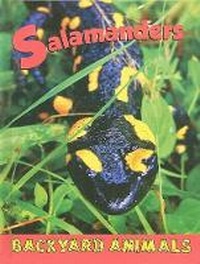Enlarge image Cover: Salamanders - Av2 by Weigl