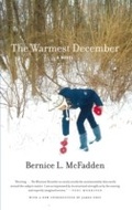 Cover: The Warmest December - Akashic Books