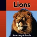 Cover: Lions - Av2 by Weigl
