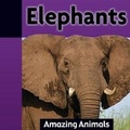 Cover: Elephants - Av2 by Weigl