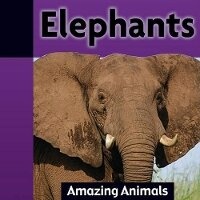 Enlarge image Cover: Elephants - Av2 by Weigl
