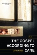 Cover: The Gospel According to Cane - Akashic Books
