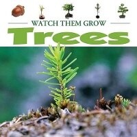 Enlarge image Cover: Trees - Av2 by Weigl