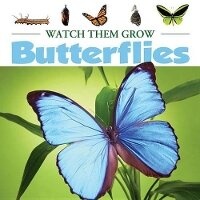 Enlarge image Cover: Butterflies - AV2 by Weigl Educational Publishers