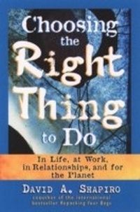Enlarge image Cover: Choosing the Right Thing to Do - Berrett-Koehler Publishers