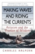 Cover: Making Waves and Riding the Currents - Berrett-Koehler Publishers