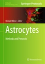 Cover: Astrocytes - Humana