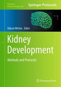Abbildung von: Kidney Development - Humana Press Inc.