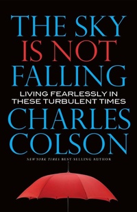Enlarge image Cover: The Sky Is Not Falling - Hachette Nashville