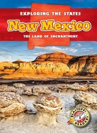 Enlarge image Cover: New Mexico - Bellwether Media