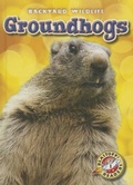 Cover: Groundhogs - Bellwether Media