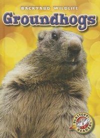 Enlarge image Cover: Groundhogs - Bellwether Media