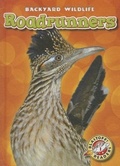 Cover: Roadrunners - Bellwether Media
