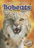 Cover: Bobcats - Bellwether Media