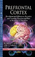 Cover: Prefrontal Cortex - Nova Science Publishers Inc